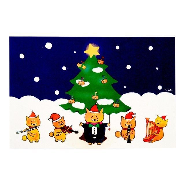 柴犬ラク ポストカード(クリスマス)