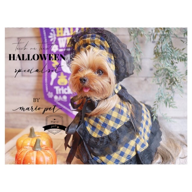 ハロウィンスペシャル マント ハロウィン帽子セット 犬服 犬用ハロウィンマント 犬用ハロウィン帽子 猫用ハロウィン ペット用ハロウィン Mario Pet マリオペット