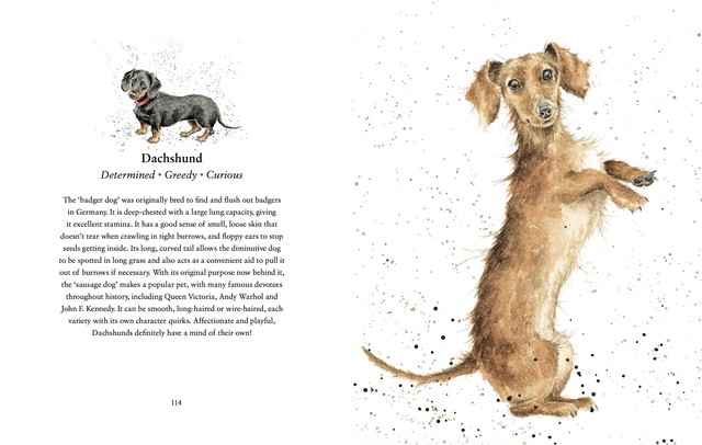 Book004 英語の絵本 A Dog S Life イギリスで人気の犬の解説 Wrendale レンデル