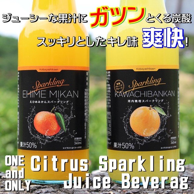 柑橘スパークリング・ジュース 340ml 2品種3本入り箱 (計6本)