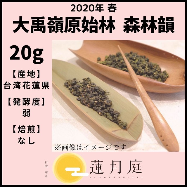【2020年 春】大禹嶺原始林 森林韻 20g