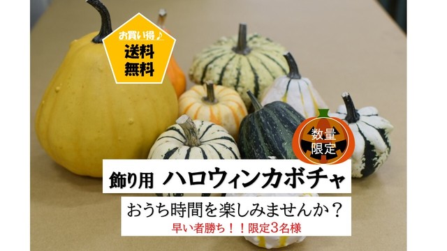 飾り用 ハロウィンカボチャ Vegemarche ベジマルシェ