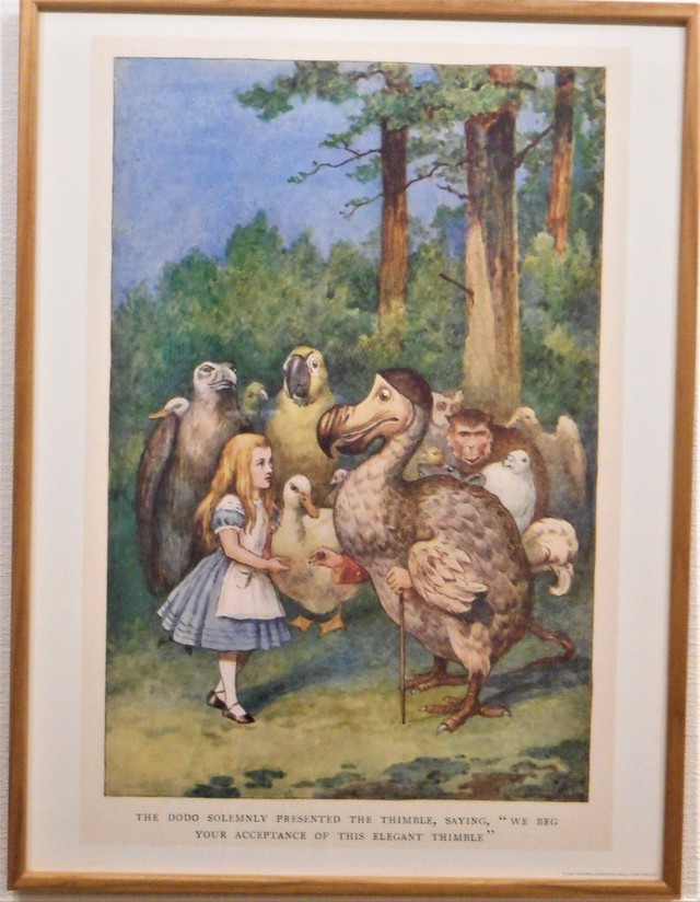 不思議の国のアリス ジョン テニエル画 Art Books Gallery 910 品切れ絵本 絶版絵本 古書絵本専門店