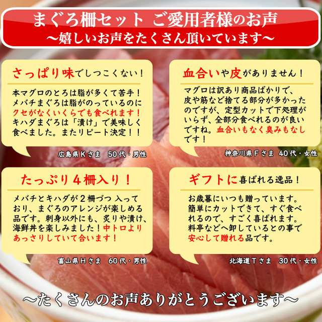 極上まぐろ 食べ比べ 800g キハダ鮪とメバチ鮪のセット 血合いなし 皮なし 贈答用 ギフト お取り寄せ グルメ 海鮮 土佐カツオとうなぎの通販 高知の旬をお届けする 池澤鮮魚マリンオンラインショップ