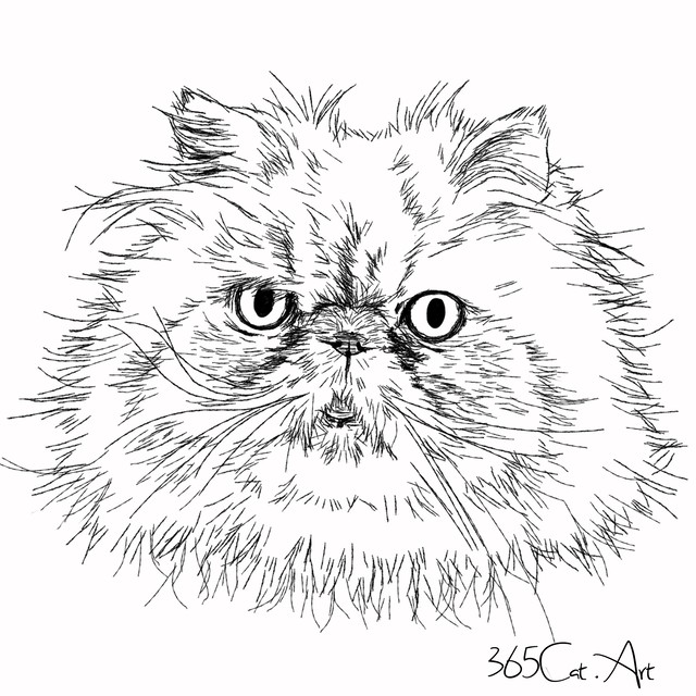 猫の手描きイラスト 似顔絵 白黒 作成 顔のみ 動物 人間可 猫雑貨 グッズ通販 猫や動物イラスト 似顔絵作成 365cat Art