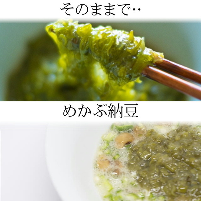 刻み めかぶ 湯通し 1kg 国産 宮城県 健康応援 海藻を毎日食べよう お好みの味付けでお召し上がりください 冷蔵便 うまいもの市場