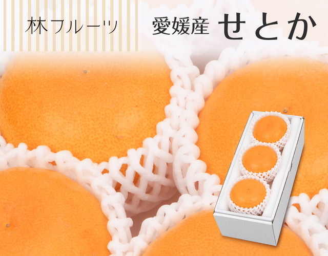 愛媛県産 せとか3個(計約900g)〔送料無料、せとか、柑橘、詰め合わせ、贈答用〕