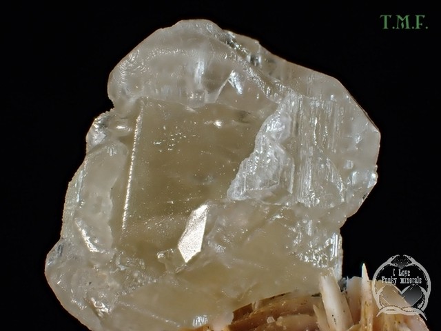 セルサイト 白鉛鉱 モロッコ Tm 394 つぐこみねらるず 鉱物 原石 天然石の販売