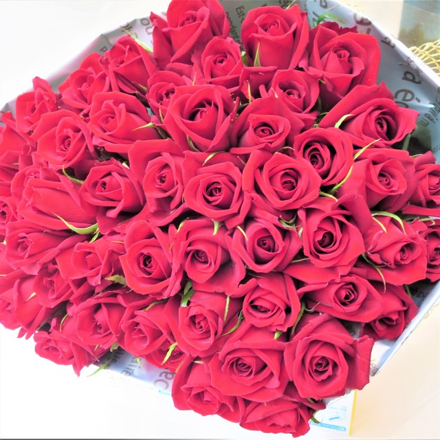 豊川の薔薇 サムライ ５０本の花束 プロポーズ 誕生日 結婚記念日 等 フラワーブティック さいとう