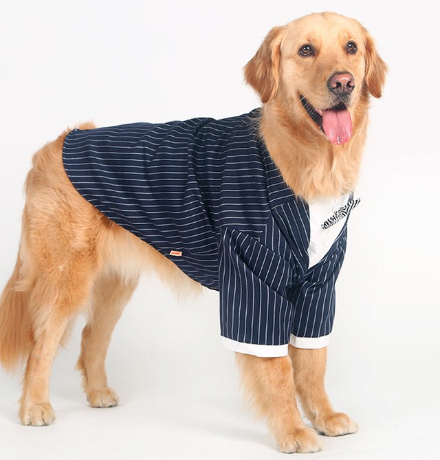 犬 スーツ 蝶ネクタイ コスプレ 中型犬 大型犬 犬服 犬用 ドッグウェア ドックウェア Minimini