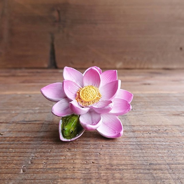 カエル 蓮の花でまったり Shoprahu