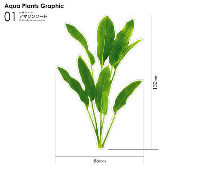 水草シール 01 アマゾンソード みずものコム オンラインショップ