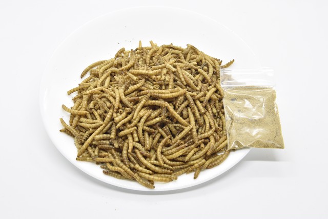 乾燥ミルワーム イエコフレーバー 40ｇ Goofoochain