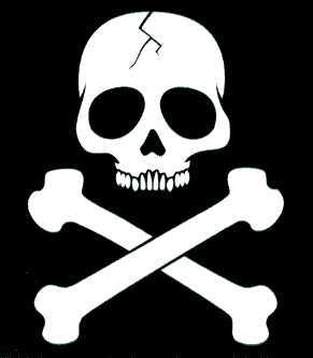 ドクロ切文字 転写 ステッカー シルバー 3271 Freedom