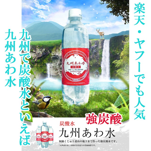 1316円 付与 送料無料 北斗 九州あわ水 炭酸水 500mlペットボトル×24