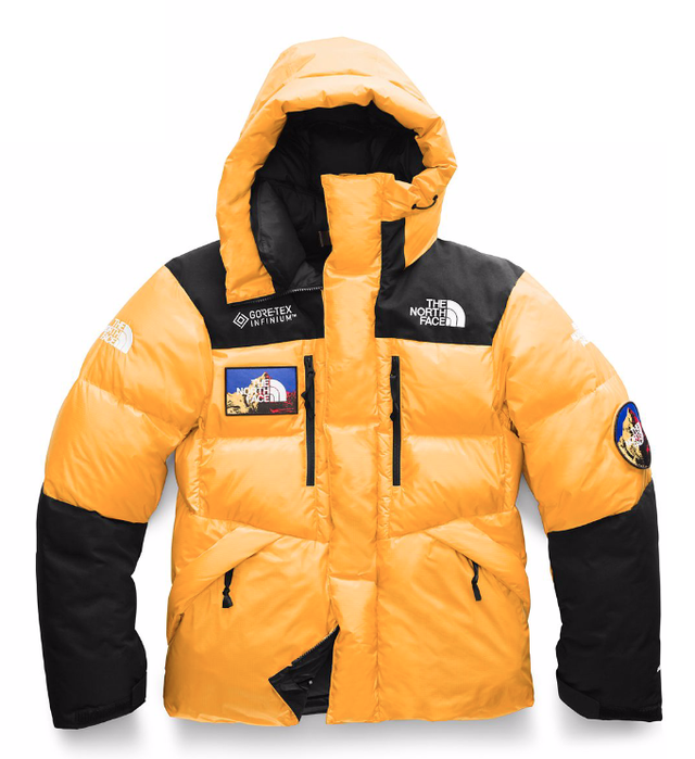 ノース フェイス ダウン 2019