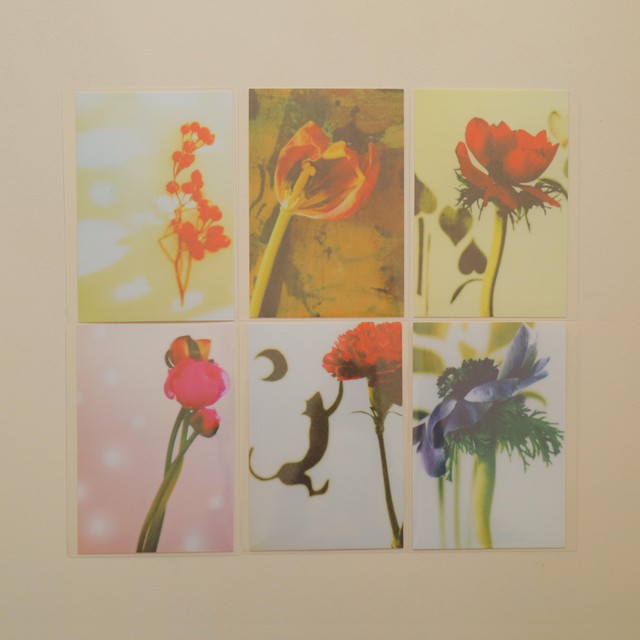 母の日の贈りもの ポストカードの花束 Atelierpiccolo