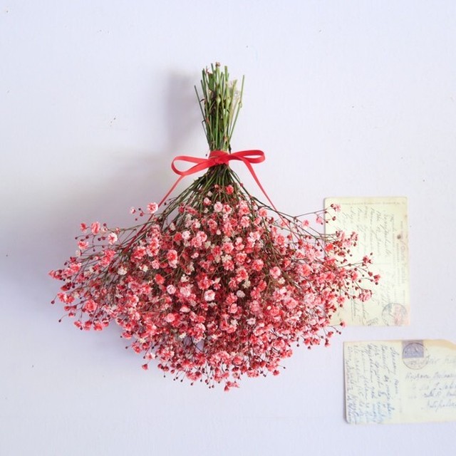 Red Baby S Breath Swag レッドかすみそうのスワッグ Florilege
