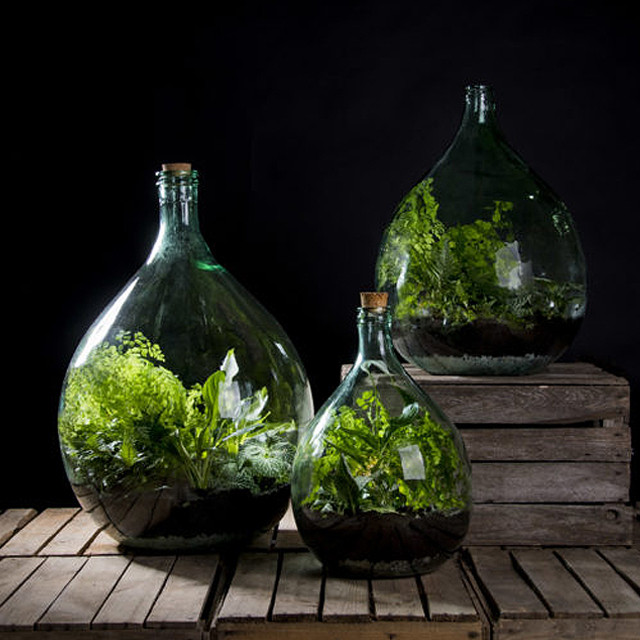 再入荷 数量限定 Terrarium Bottle Planter With Tools 15l プランツテラリウムボトル 15リットルボトル Noonflos Flower Shop Floral Design