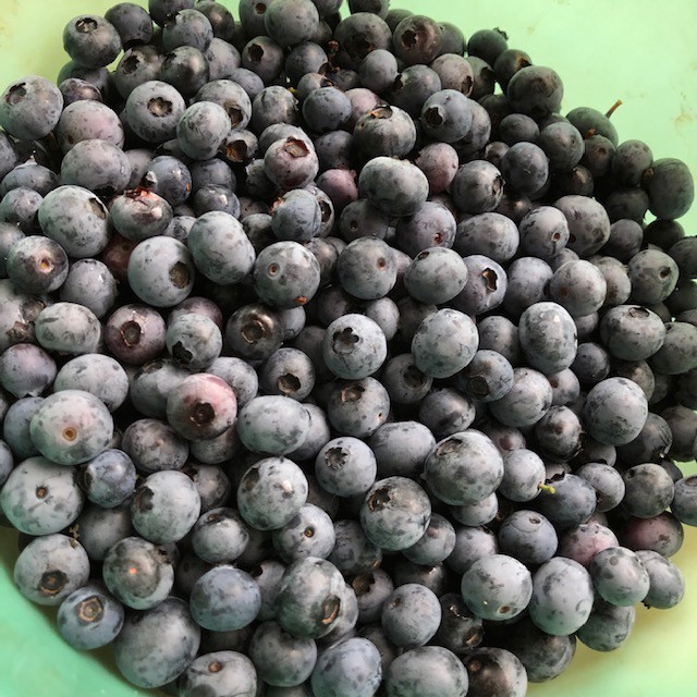 田舎の花屋べるふろーらはうす