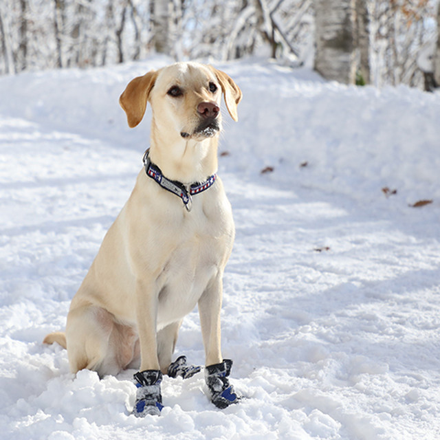 Muttluks Snow Mushers マットラクス スノーマッシャーズ 犬の靴 Outtail Dog Outdoor Gear