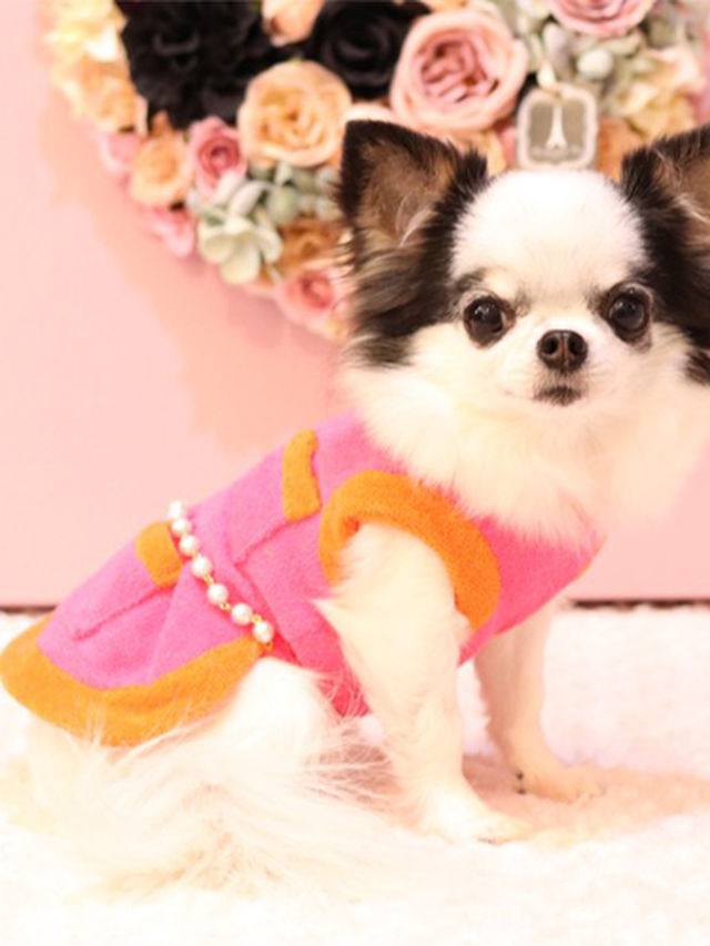 Luxury パイル バイカラー ワンピ Rose Fafa限定 Luxuy Dogwear Dog Kiss