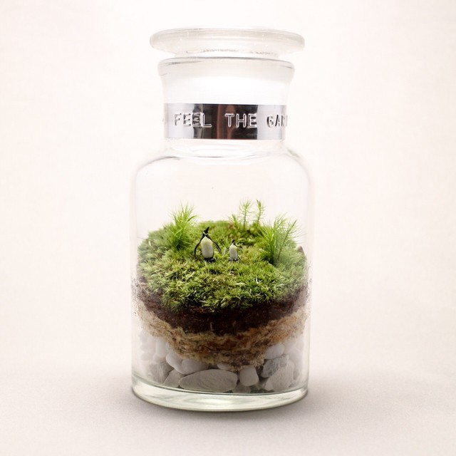 苔のテラリウム ペンギンの丘の風景 薬瓶250ml Feel The Garden