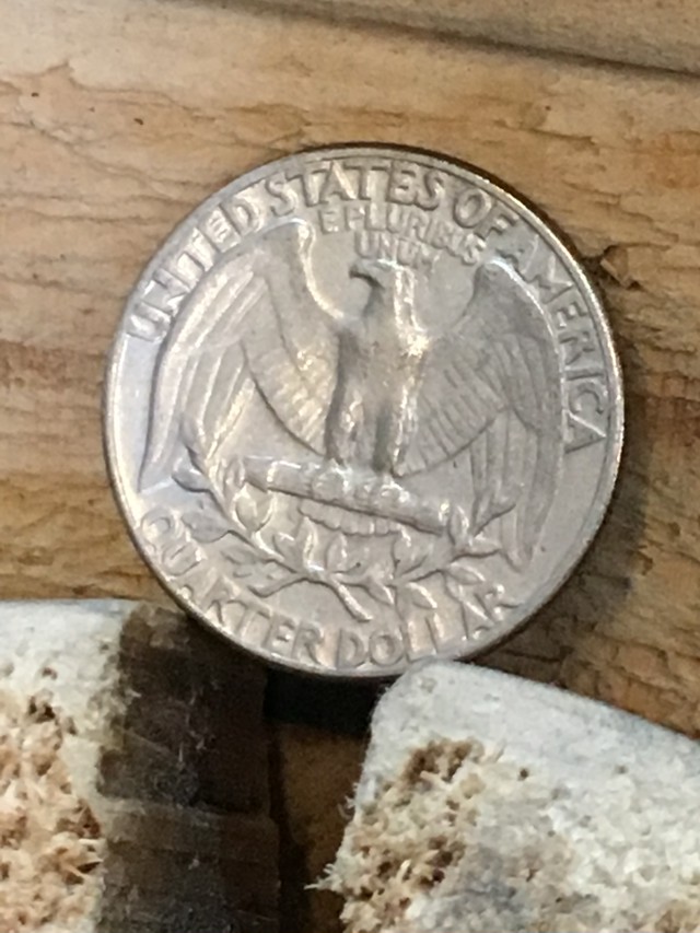 アメリカ２５ コインピアス Swingby