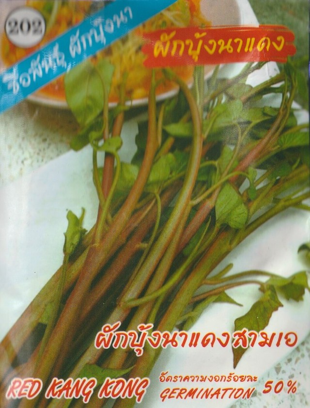 赤いタイ空芯菜 アロイ種苗店