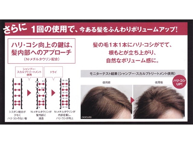 資生堂 アデノバイタル シャンプー 250ml Vivre En Beaute