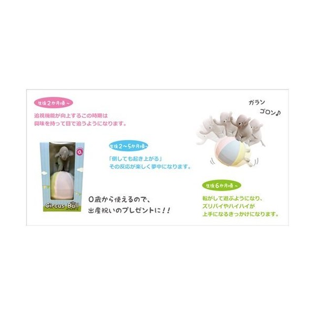 サーカスボール Babycoaching