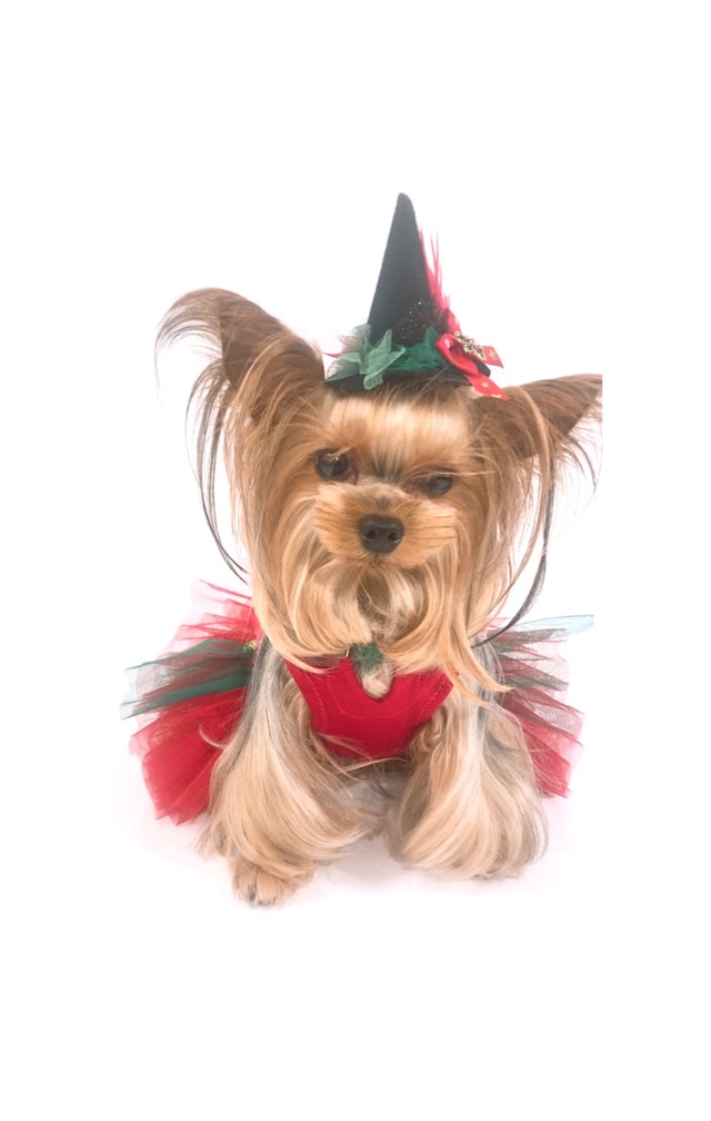 犬服オーダー クリスマスノーカラーリボンドレス Dogdress Ari Ra