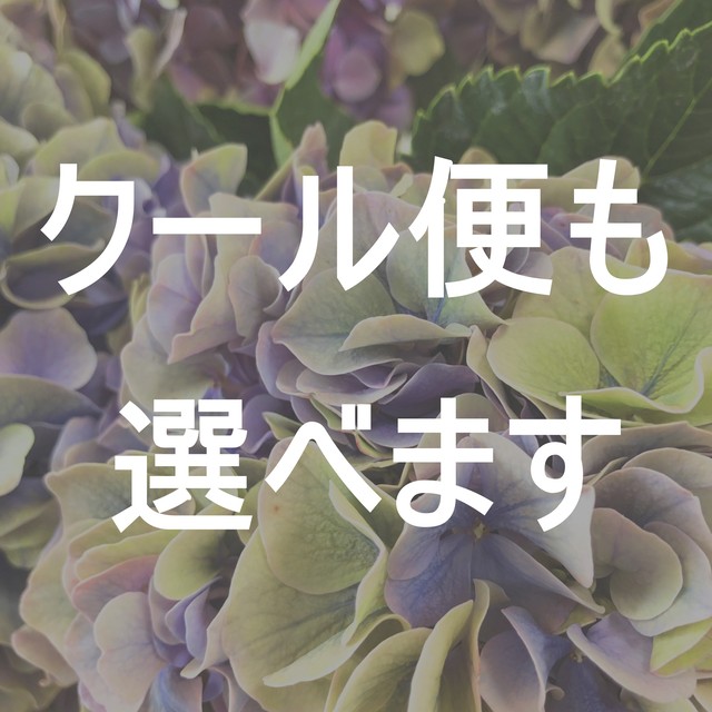 切花 Jp Farmers Com