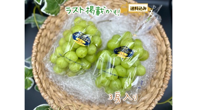 【限定2名様】種無しシャインマスカット 3房