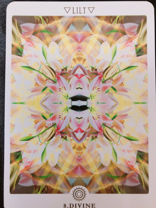 ワンコイン 今週のメッセージ 花曼荼羅より1枚引き 画像付き Eclatsalon アロマとタロットのお店