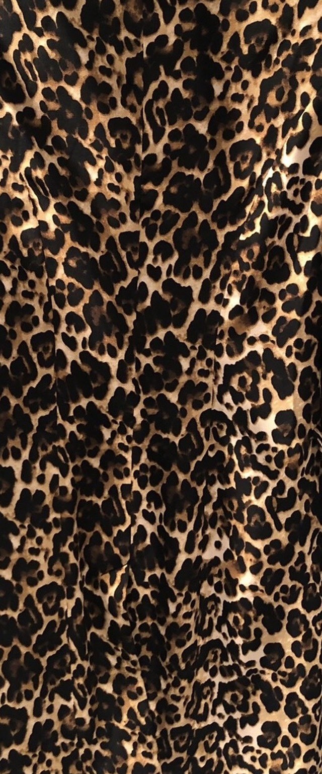 黒猫 Adult Black Cat Black以外 God Of Roses