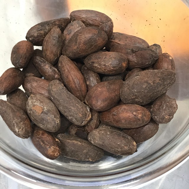 大粒ローストカカオ豆55g 深煎り カカオ工房el Molino エルモリーノ