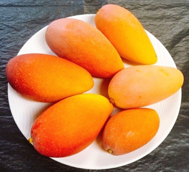 沖縄特産 ほどよい辛さ 島とうがらし手作りコーレーグースに Adan Okinawa アダン沖縄 Base店 熱帯フルーツ 島野菜 沖縄特産品 ちょっとお取り寄せ