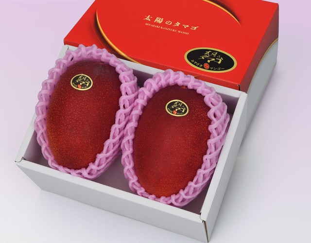 宮崎産 太陽のタマゴ【4L2玉(計約1kg)】
