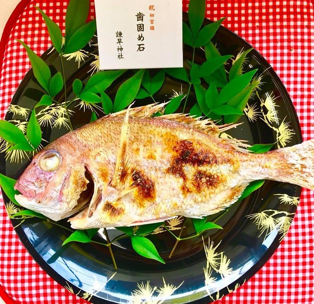 お食い初めに 鯛の塩焼き 竹野鮮魚 Webショップ