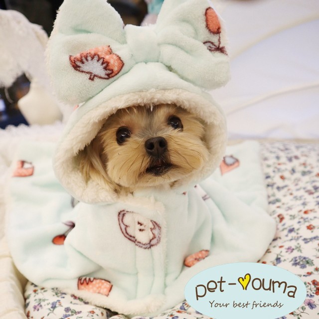 小型犬服 ドッグウェア 犬服 秋冬 子犬 超小型犬 ガウン ブランケット もふもふ かわいい いちご バナナ柄 室内着 小型犬専門 Puti Dog