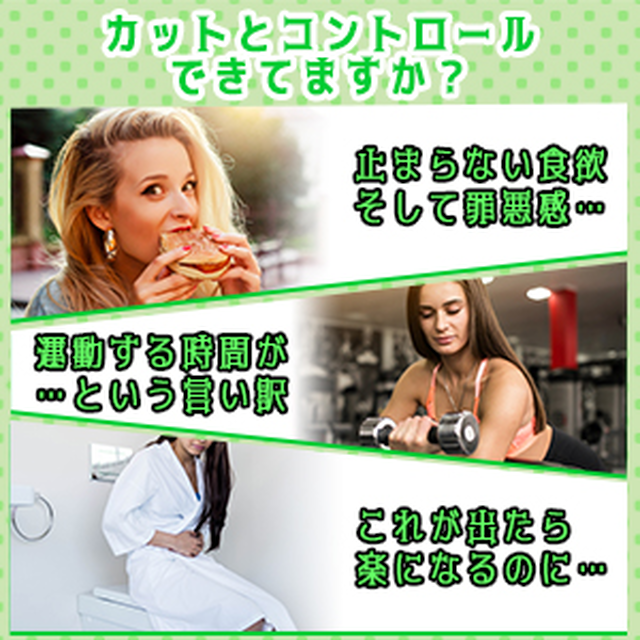 ２個セット なくさナイト 90粒入り 15日 30日分 ダイエットサプリ 激やせ 人気 ギムネマ 白いんげん豆配合 1袋 Catfish