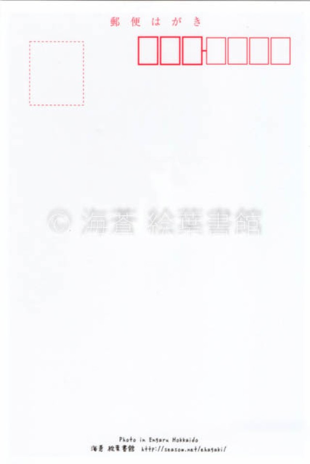 ポストカード 感謝ありがとうを伝えたくて ふぉと言葉 海蒼 絵葉書館 Webショップ