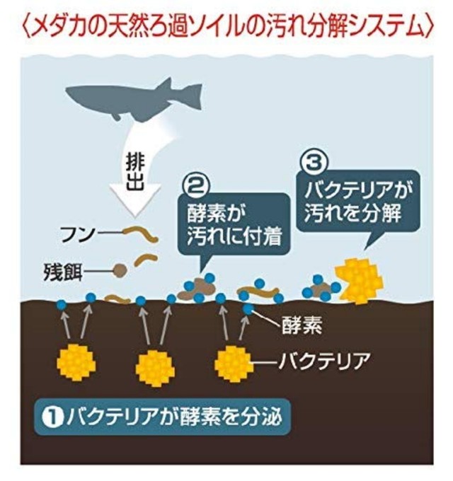 メダカの天然ろ過ソイル 2 5l 広島 めだか小屋