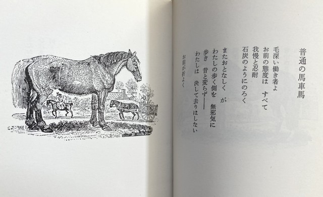 詩の絵本 動物誌 Julybooks 七月書房