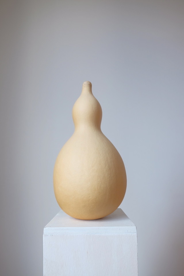 ひょうたんランプ 制作キット Kalavinka