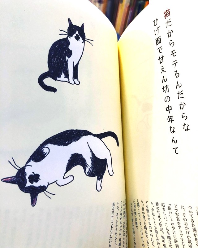 著者サイン入り 新品 猫のいる家に帰りたい ひるねこbooks