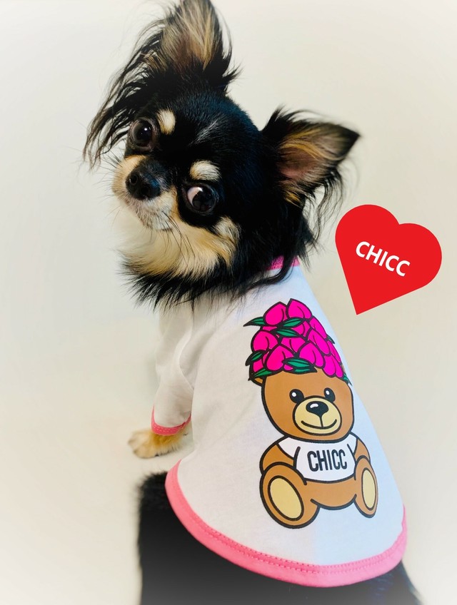 Funkybear Tシャツ Peach 犬服 人気 犬の服 おしゃれ ドッグウェア 小型犬 犬服ブランド Chicc ドッグウェアブランド