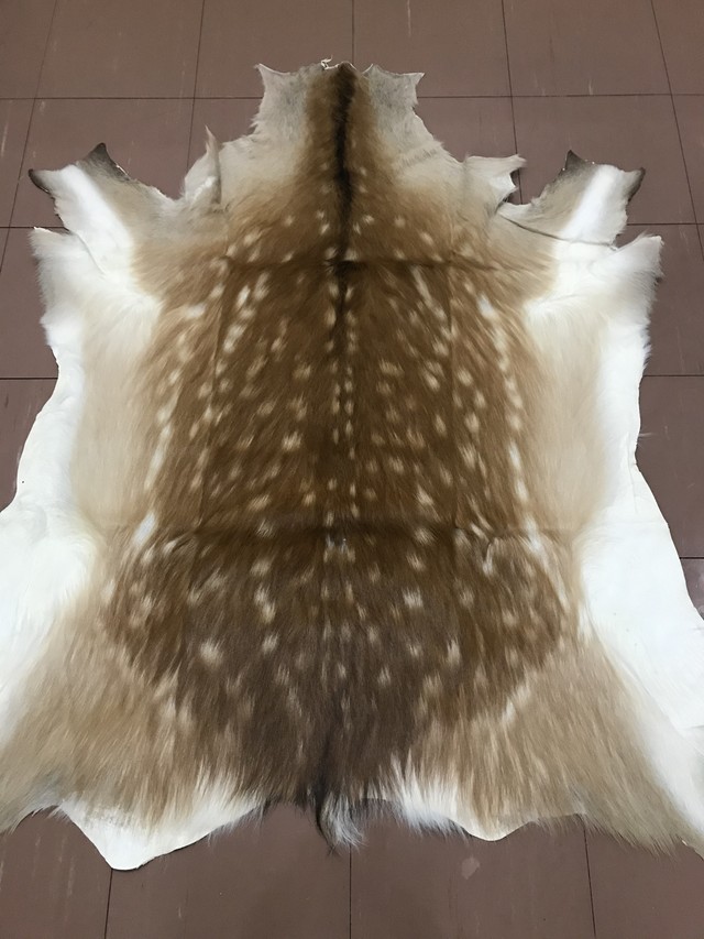 超大特価 鹿皮 エゾシカ 蝦夷鹿（冬毛）スキン【毛皮原皮】ラグマット 