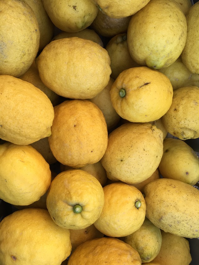 完全無農薬レモン5kg 35個程度 清水果樹園